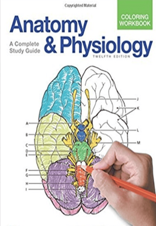 Anatomy & Physiology Coloring Workbook coloring image