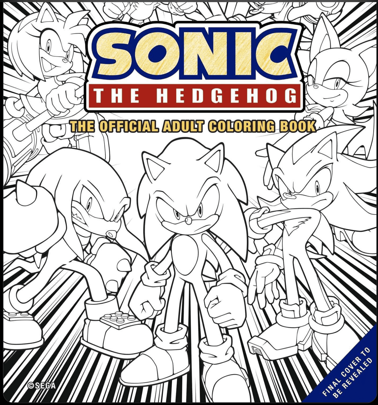 Adult Sonic The Hedgehog Coloring Book coloring image
